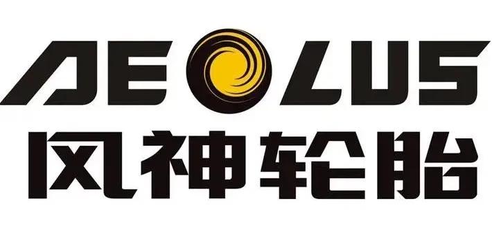 双钱集团轮胎股份有限公司_2025年三季度中国轮胎企业营收排名_中策橡胶赛轮集团玲珑轮胎经营业绩