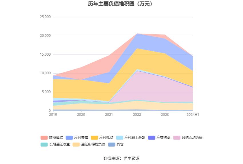 建新股份2024年半年度报告_建新股份财务分析_300107建新股份