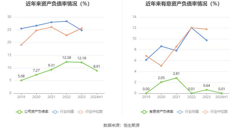 建新股份2024年半年度报告_300107建新股份_建新股份财务分析