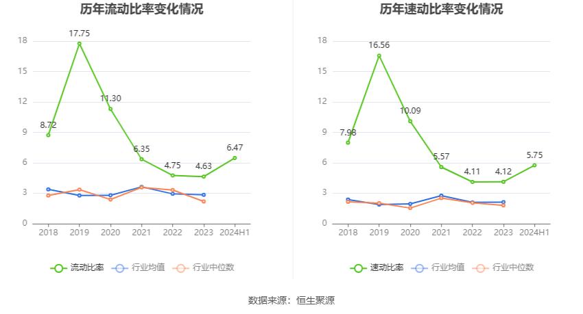 建新股份2024年半年度报告_建新股份财务分析_300107建新股份