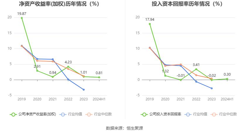 建新股份财务分析_300107建新股份_建新股份2024年半年度报告