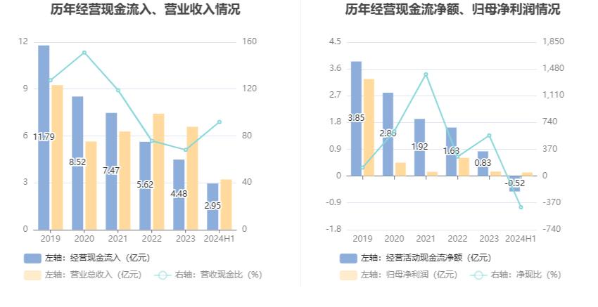 建新股份财务分析_300107建新股份_建新股份2024年半年度报告