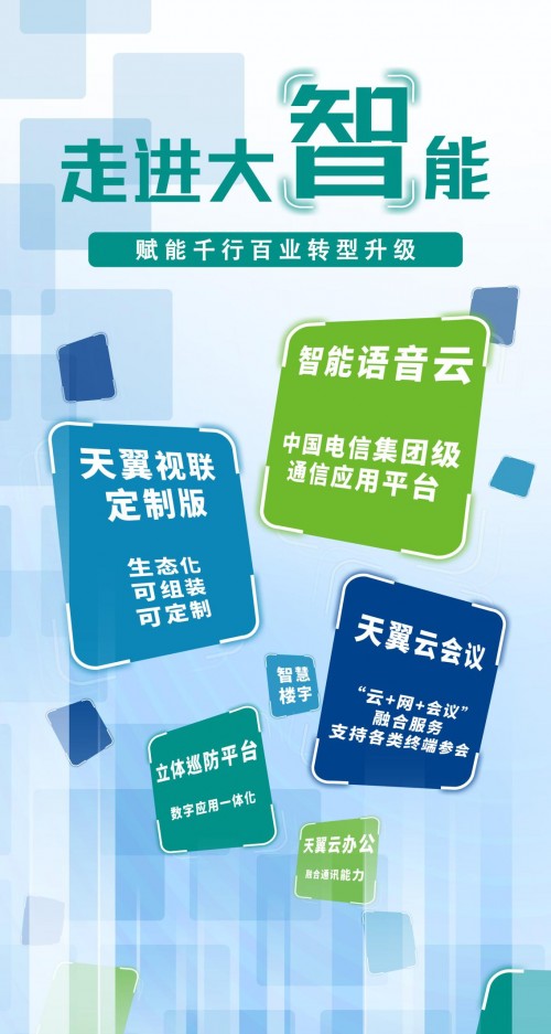中国电信刚需网络科技股份有限公司_中国电信数智科技_中电信数智科技有限公司转型发展