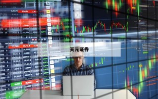 关于股票财务杠杆的信息