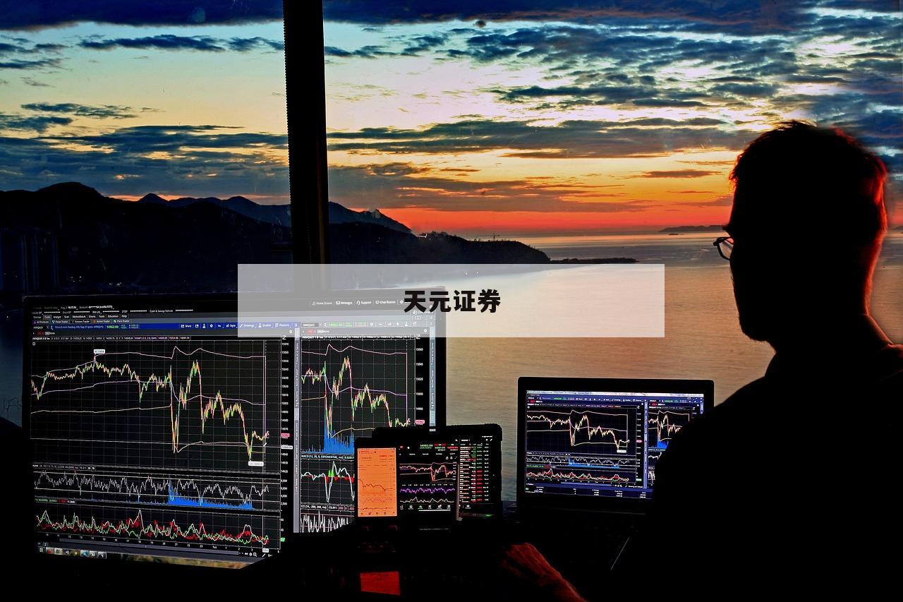 包含散户炒股如何加杠杆的词条-第1张图片-天元证券